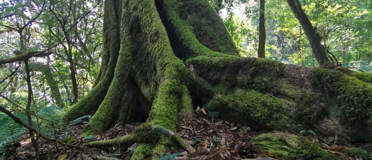 微信图片_20250210113042.jpg 微信图片_20250210113042.jpg