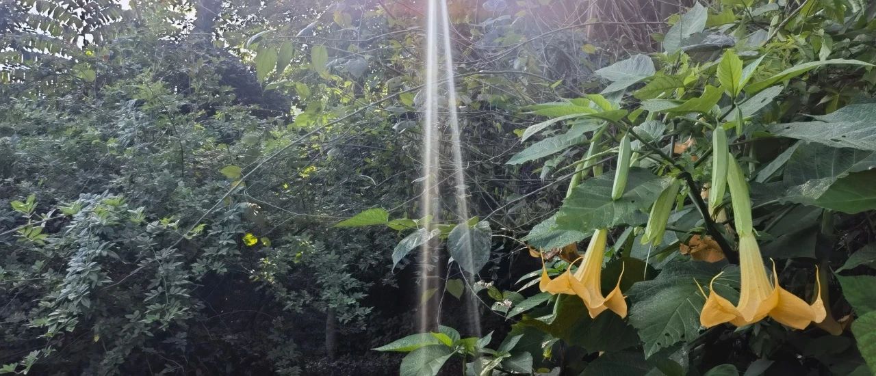 微信图片_20250210113056.jpg 微信图片_20250210113056.jpg