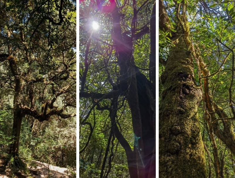 微信截图_20250210113347.png 微信截图_20250210113347.png