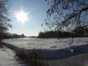 Snow in the polder
