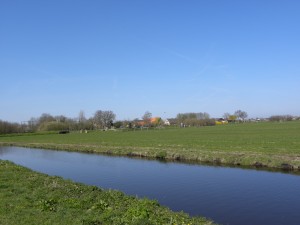 Polders near Rotterdam