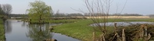 Nature near Delft