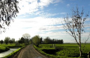 Country road near Schoonhoven
