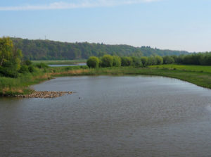 The river the Nederrijn by the Wageningse Mountain
